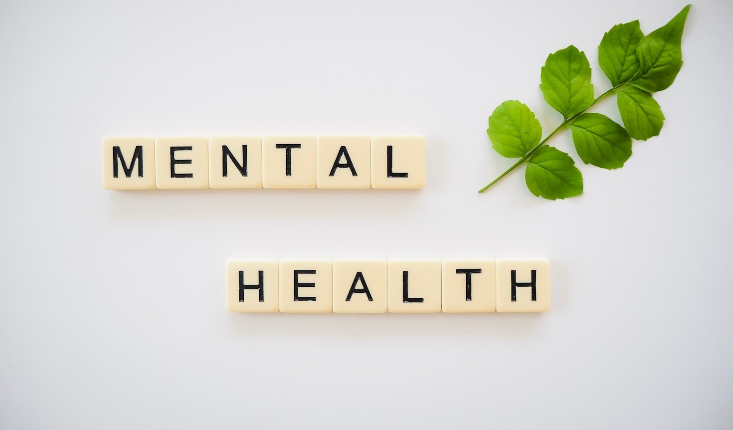 Educational Tools for Military and Public Safety Wellness