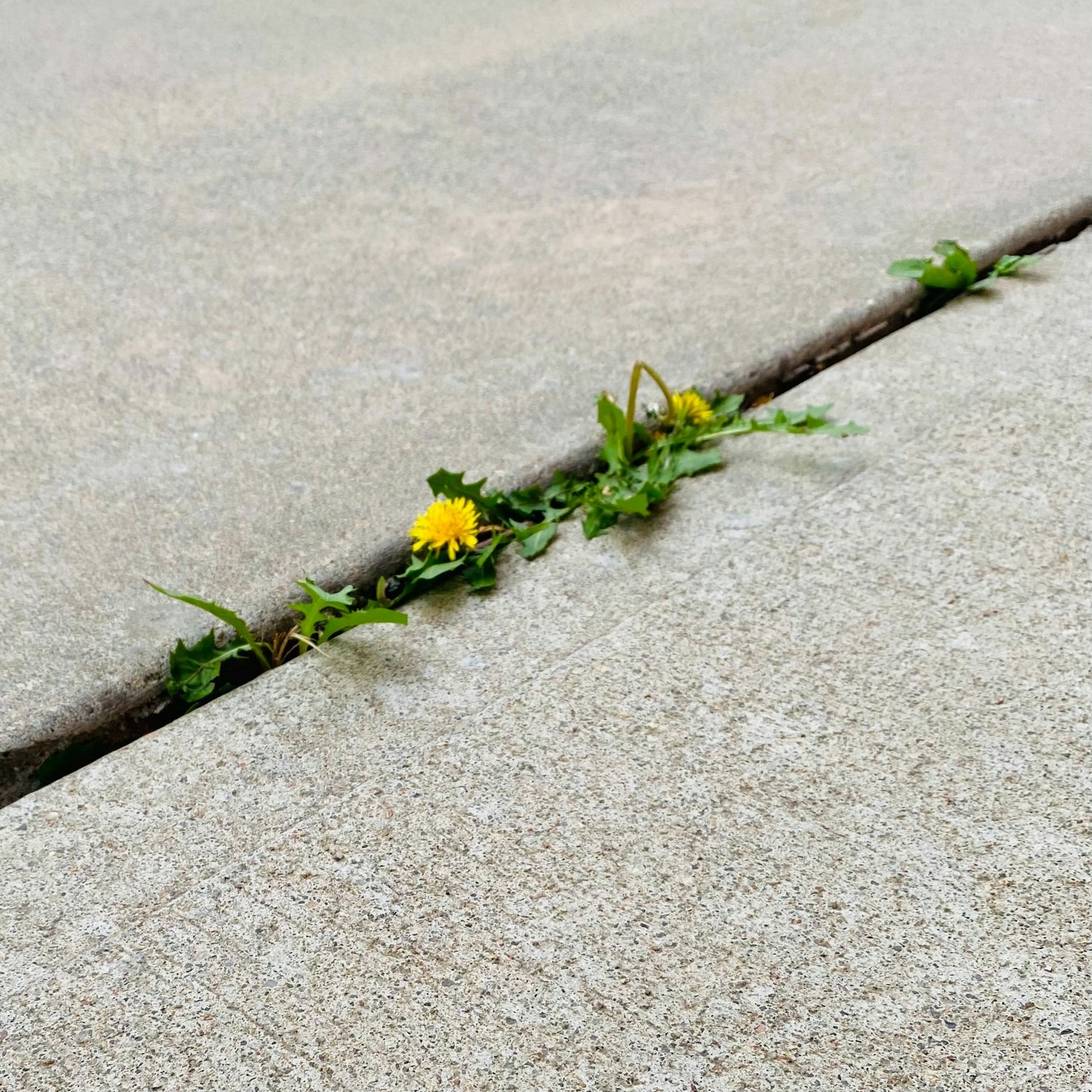 Building a Strong Foundation for Resilience in Professionals